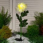 Садовый светильник на солнечной батарее «Хризантема белая», 75 см, 1 LED, свечение белое - фото 8676769