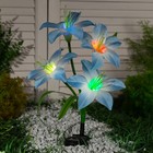 Садовый светильник на солнечной батарее «Лилия синяя», 80 см,4 LED, свечение мульти (RGB) - фото 8676777