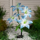 Садовый светильник на солнечной батарее «Лилия синяя», 80 см,4 LED, свечение мульти (RGB) - фото 8676778