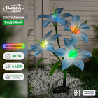 Садовый светильник на солнечной батарее «Лилия синяя», 80 см,4 LED, свечение мульти (RGB) - Фото 1