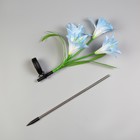 Садовый светильник на солнечной батарее «Лилия синяя», 80 см,4 LED, свечение мульти (RGB) - фото 8676779