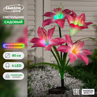 Садовый светильник на солнечной батарее «Лилия розовая», 80 см, 4 LED, свечение мульти (RGB) - фото 320892454