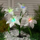 Садовый светильник на солнечной батарее «Лилия белая», 80 см, 4 LED, свечение мульти (RGB) - фото 8676793