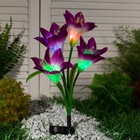 Садовый светильник на солнечной батарее «Лилия фиолетовая», 80 см, 4 LED, свечение мульти (RGB) - Фото 2