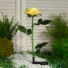 Садовый светильник на солнечной батарее «Роза жёлтая», 75 см, 5 LED, свечение белое - фото 7950521