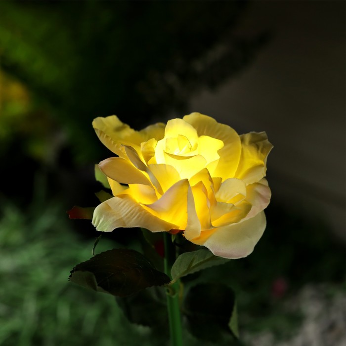 Садовый светильник на солнечной батарее «Роза жёлтая», 75 см, 5 LED, свечение белое - фото 1900007907