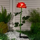 Садовый светильник на солнечной батарее «Роза красная», 75 см, 5 LED, свечение белое - Фото 2
