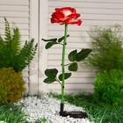 Садовый светильник на солнечной батарее «Роза красная», 75 см, 5 LED, свечение белое - Фото 3