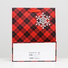 Пакет ламинированный "Скандинавская клетка" 26 x 32 x 12 6854103