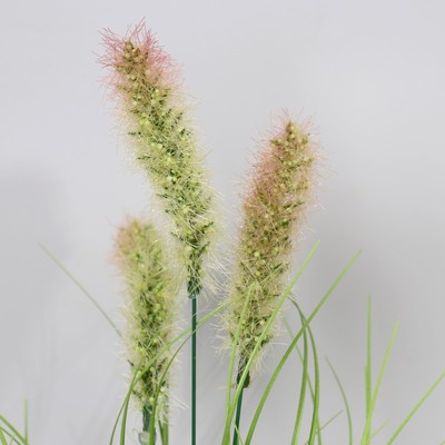 Бонсай "Лагурус " 9х37 см, микс