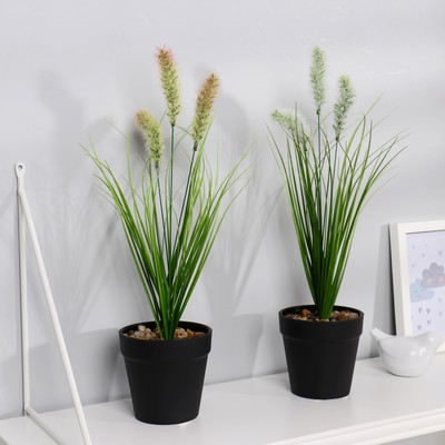 Бонсай "Лагурус " 9х37 см, микс