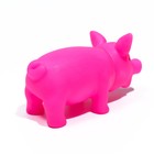 Игрушка пищащая "Маленький поросенок" для собак, 9 см, розовая - Фото 2