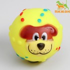 Игрушка пищащая "Мяч Джим" для собак, 6 см, жёлтая - фото 319721453