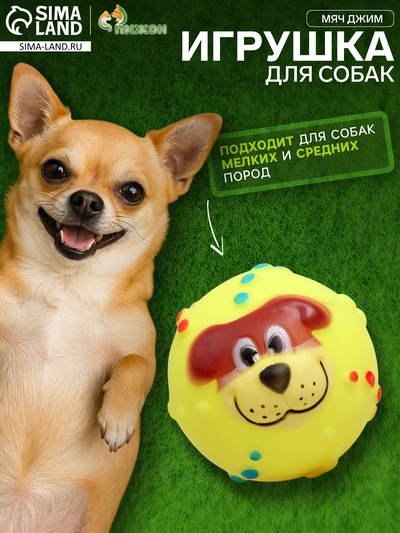 Пищащая игрушка для собак «Мяч Джим», 6 см, винил, жёлтая