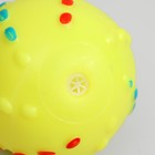 Игрушка пищащая "Мяч Джим" для собак, 6 см, жёлтая - Фото 2