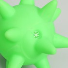Игрушка пищащая "Вирус" для собак, 10 см, зелёная - Фото 3