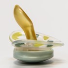 Соска-пустышка ортодонтическая, латекс, от 6 мес., ADORE, в контейнере «Птицы» - фото 25430552