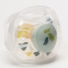 Соска-пустышка ортодонтическая, латекс, от 6 мес., ADORE, в контейнере «Птицы» - фото 25430554