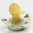 Соска-пустышка ортодонтическая, латекс, от 6 мес., ADORE, в контейнере «Птицы» - фото 25430553