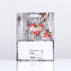 Пакет ламинированный "Плюшевые игрушки" 18 х 23 х 10 - фото 21406679