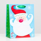 Пакет ламинированный "Дед мороз-красный нос" 18 х 23 х 10 - фото 9455486