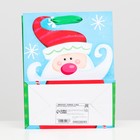 Пакет ламинированный "Дед мороз-красный нос" 18 х 23 х 10 - Фото 2
