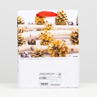 Пакет ламинированный "Лесные шишки" 18 х 23 х 10 6854211