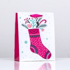 Пакет ламинированный "Подарочный носочек" 18 х 23 х 10 - Фото 1