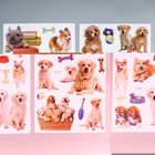 Наклейка пластик 2D "Кошки и собаки" МИКС 54х35,5 см - фото 1322740