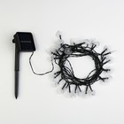 Гирлянда «Нить» 4.5 м с насадками «Сердца», IP44, тёмная нить, 30 LED, свечение тёплое белое, 2 режима, солнечная батарея 6253338 - фото 319735973
