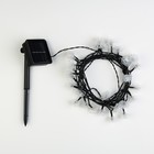 Гирлянда «Нить» 4.5 м с насадками «Розы», IP44, тёмная нить, 30 LED, свечение белое, 2 режима, солнечная батарея - фото 24285462