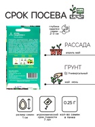 Семена Огурец Гардемарин F1 цв/п 0.25 г, скороспелый, партенокарпический, гладкий, салатный - Фото 2