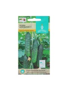 Семена Огурец Апрельский F1 цв/п 0,25 гр., партенокарпический - Фото 5