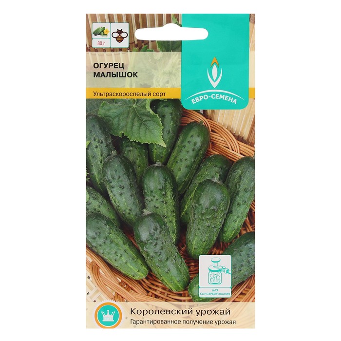 Огурец малышок фото Огурец малышок фото