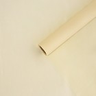 Плёнка для цветов упаковочная тишью влагостойкая «Слоновая кость», 0.6 x 8 м, 30мкм - фото 318699070