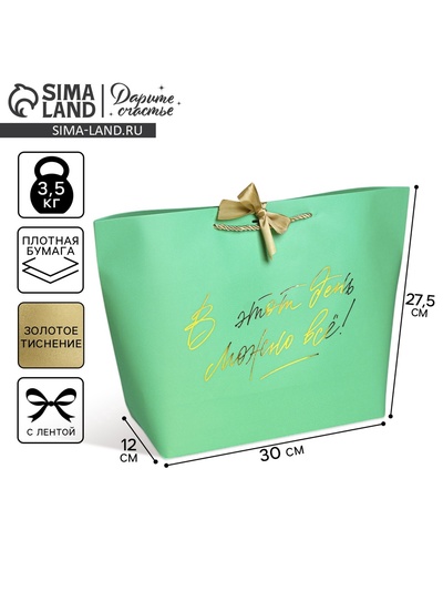 Пакет подарочный, упаковка, «Можно всё», 30 х 27.5 х 12 см