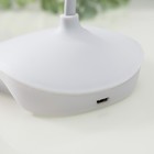 Настольная лампа сенсорная 16749/1 LED 2Вт 6000К USB АКБ белый 13х11х39 см RISALUX 6988901