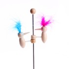 Игрушка «Цветные дятлы», цвета МИКС - Фото 2