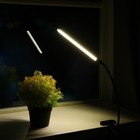 Светильник для растений с таймером, 1*9 Вт, 5 В, USB, тепло-белый - фото 3767031