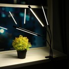 Светильник для растений с таймером, 3*9 Вт, 5 В, USB, тепло-белый - фото 3767038