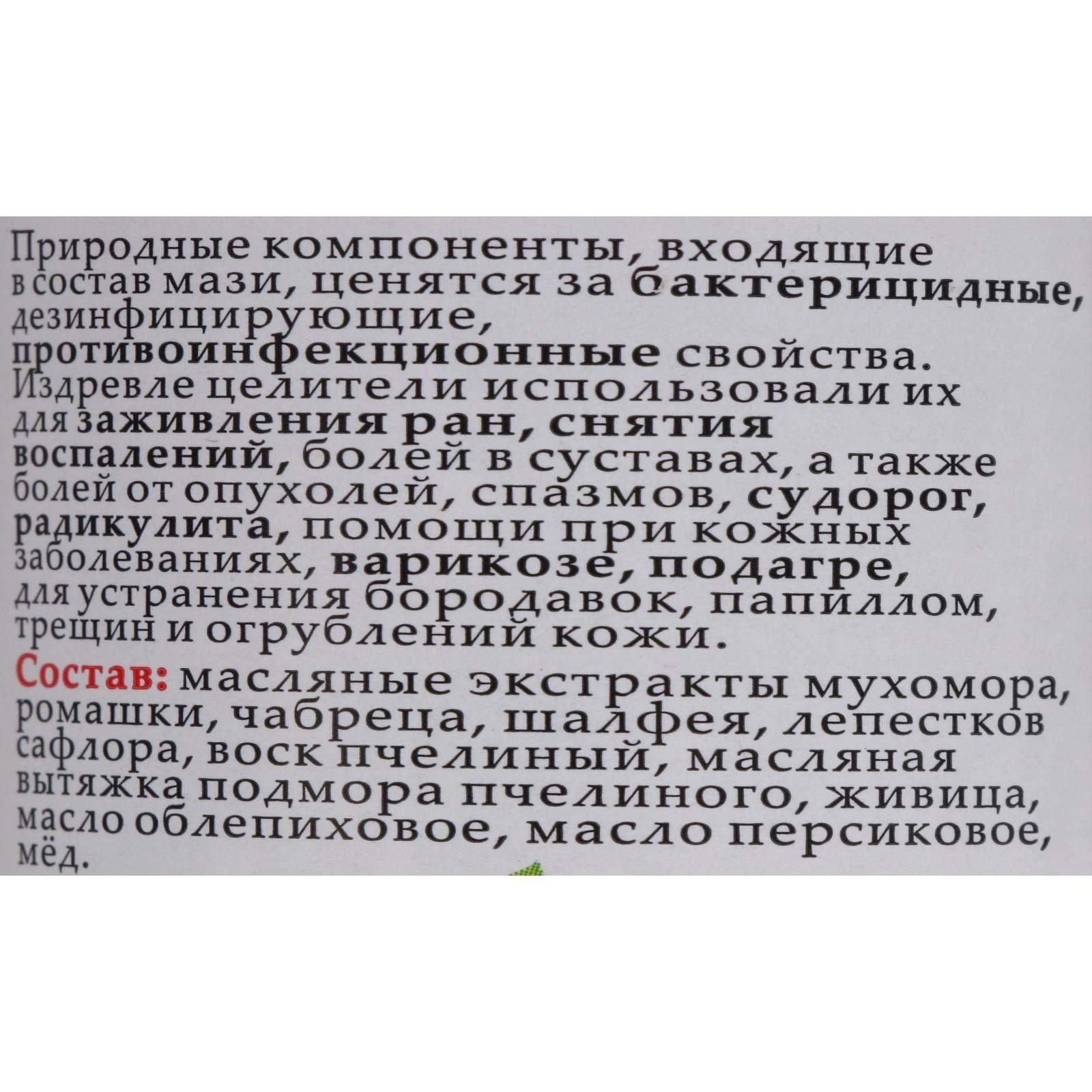 Мазь монастырская Живичная с мухомором, Солох-Аул, 100 мл (7475291) -  Купить по цене от 516.00 руб. | Интернет магазин SIMA-LAND.RU