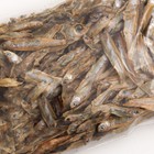 Корм сухой  "Рыбка-silver" природный, для рептилий, коробка, 20 г - фото 6498845
