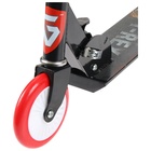 Самокат-снегокат 2 в 1 GRAFFITI T-Rex - Фото 12