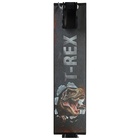 Самокат-снегокат 2 в 1 GRAFFITI T-Rex - Фото 9