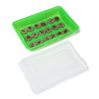 Мини - парник для рассады: торфяная таблетка d=4.2 см (18 шт.), парник 36×25 см, зелёный - Фото 2