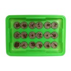 Мини - парник для рассады: торфяная таблетка d=4.2 см (18 шт.), парник 36×25 см, зелёный - Фото 3