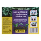 Мини - парник для рассады: торфяная таблетка d=4.2 см (18 шт.), парник 36×25 см, зелёный - Фото 5