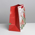 Пакет подарочный ламинированный, упаковка, «Чудо», ML 27 х 23 х 11,5 см - Фото 2