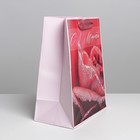 Пакет подарочный ламинированный, упаковка, «Свежесть», MS 18 х 23 х 10 см - фото 24116085