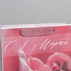 Пакет подарочный ламинированный, упаковка, «Свежесть», MS 18 х 23 х 10 см - фото 24116086